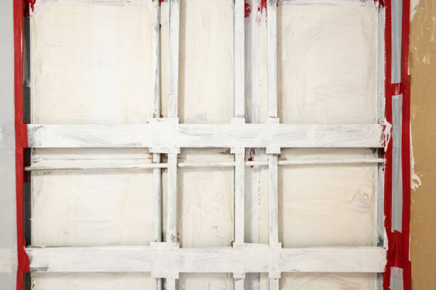 Mold Odor Removal Services in Keokuk, IA