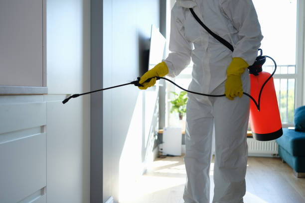 Best Commercial Mold Inspection  in Keokuk, IA