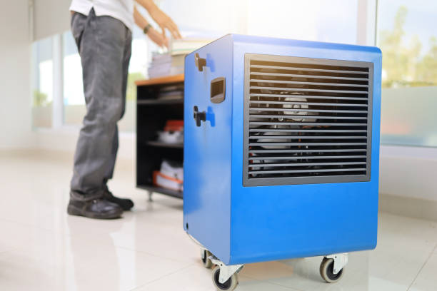 Mold Removal for HVAC Installations in Keokuk, IA