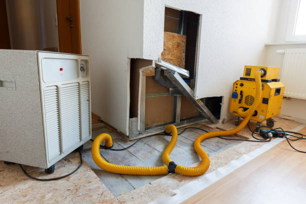 Best Attic Mold Removal  in Keokuk, IA