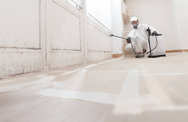 Asbestos and Lead Testing During Mold Inspection in Keokuk, IA