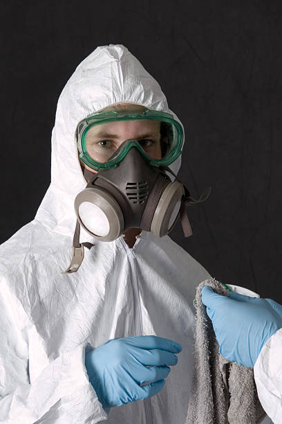 Best Real Estate Mold Inspection  in Keokuk, IA